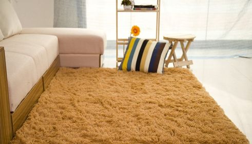 Living room coffee table bedroom bedside non-slip plush carpet (Option: Khaki-100x160cm)